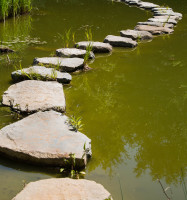 stepping stones across pond